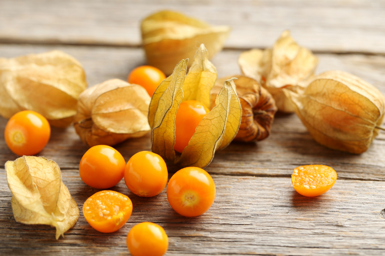 Physalis, conheça os benefícios desse fruto